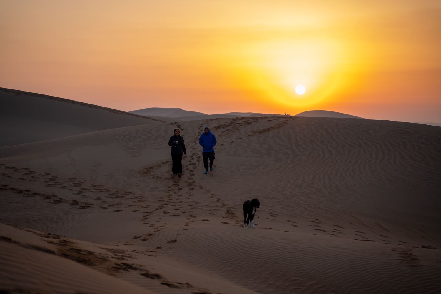 Golden sunset over the Al Quaa desert dunes